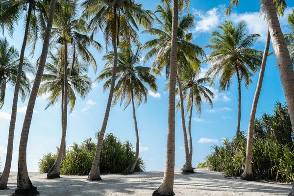 Peut-on trouver une location de vacances en Irlande avec des cours de cuisine et des randonnées sur la côte?